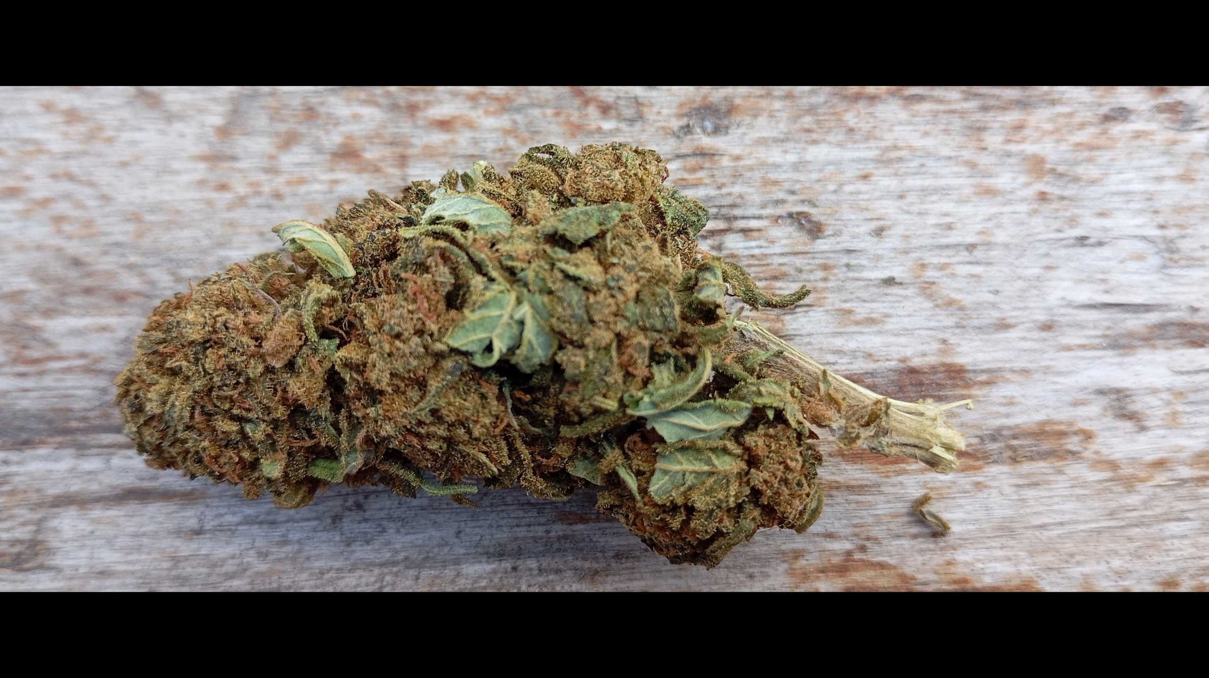 Flor de CBD - Skywalker 5g
