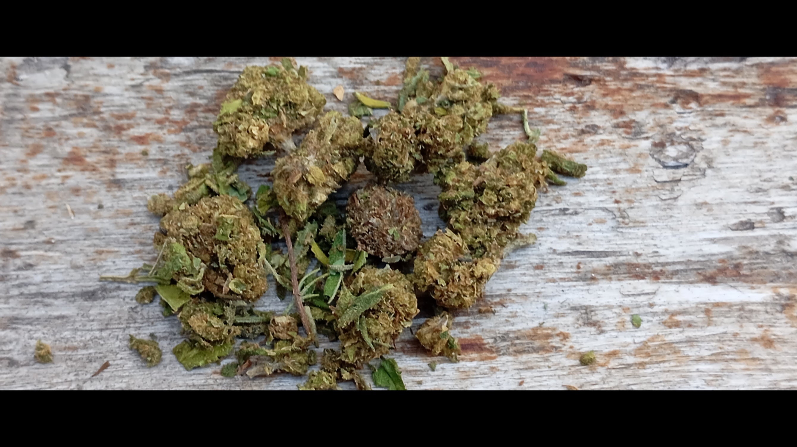 Flor CBD Trim Premium 10g