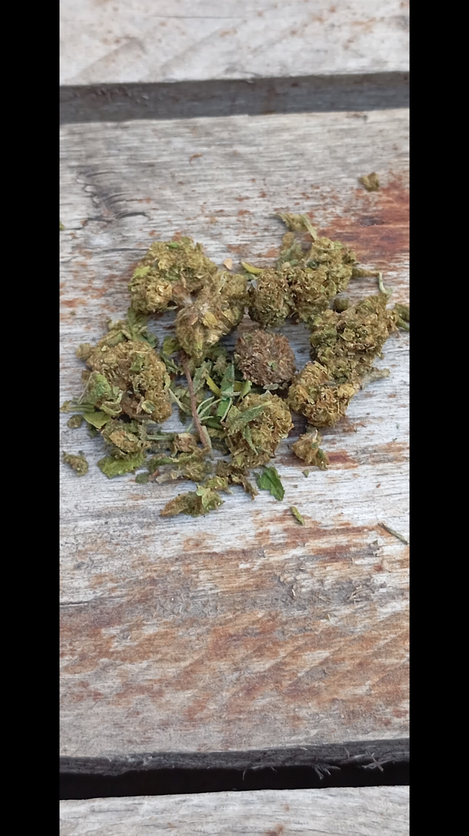Flor CBD Trim Premium 10g
