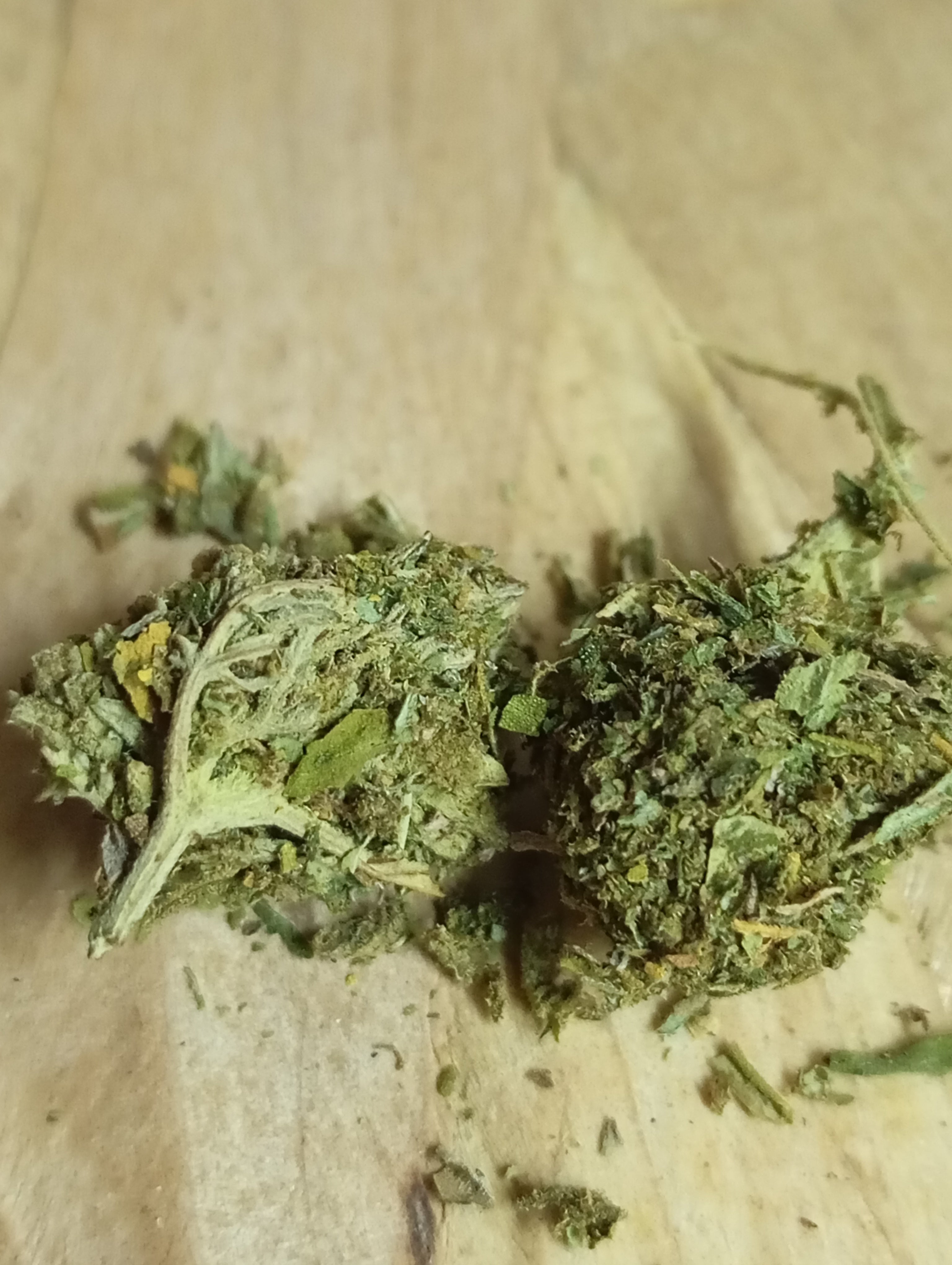 Flor de CBD Minibud Premium 10 g