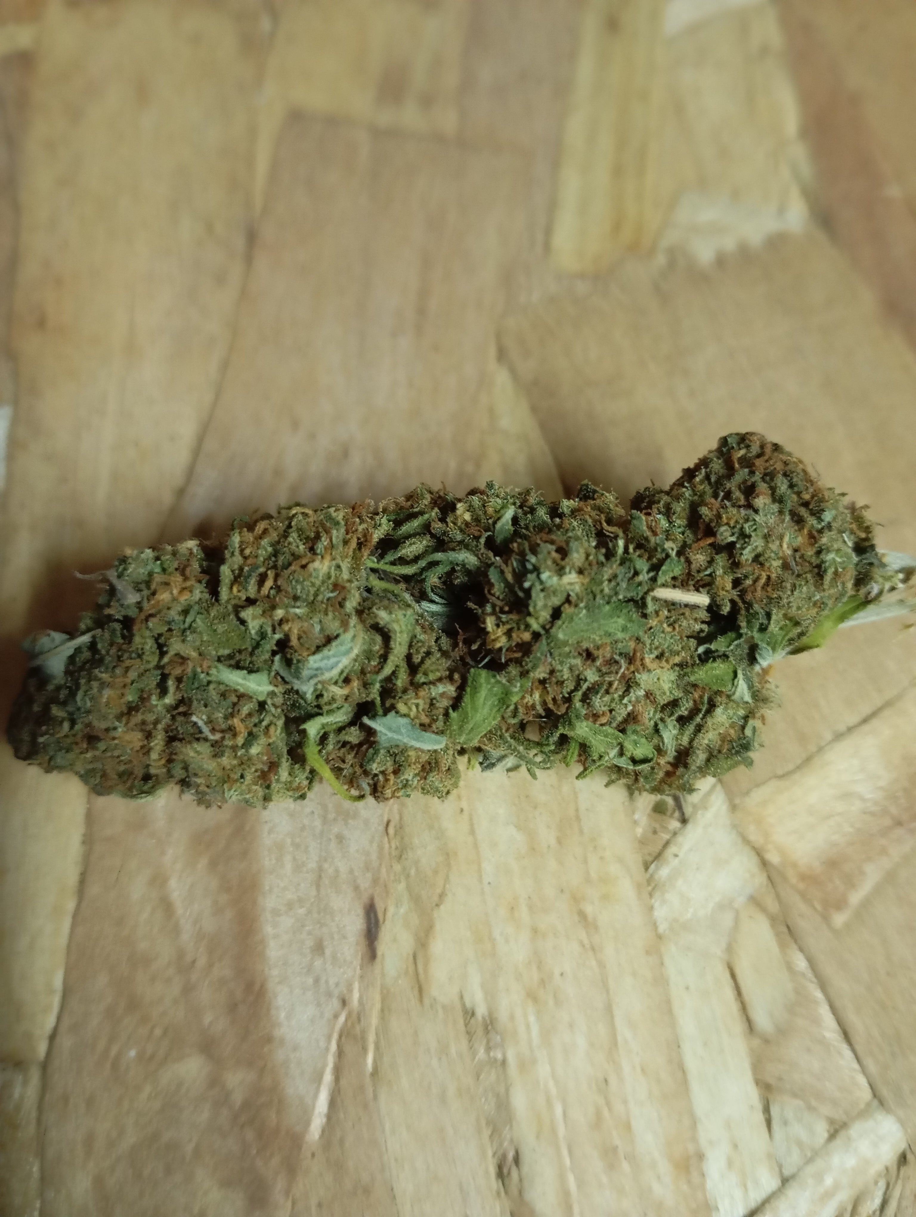 Flor de CBD - Mango (1 g)