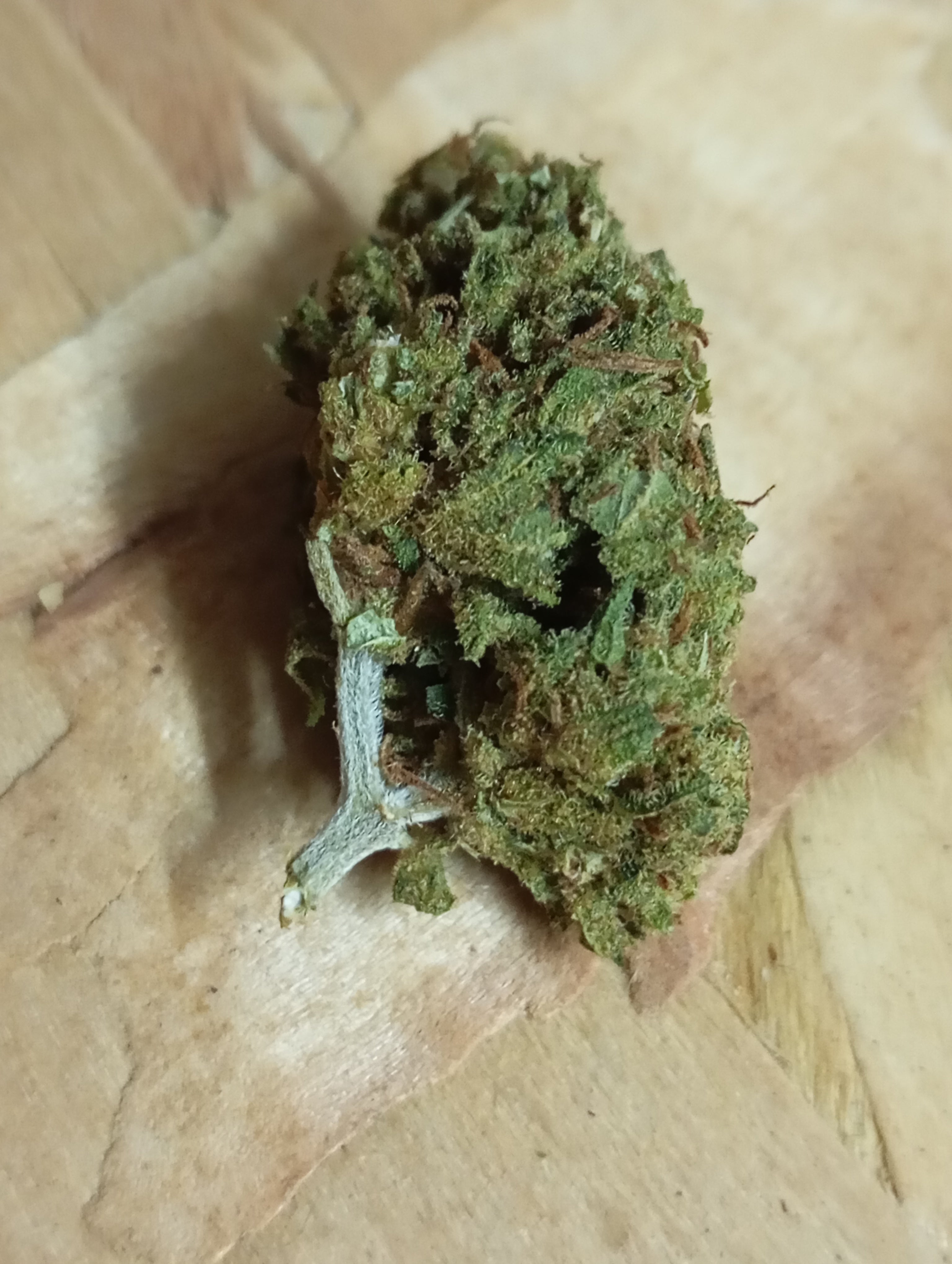 Flor de CBD - Cali Haze 1g
