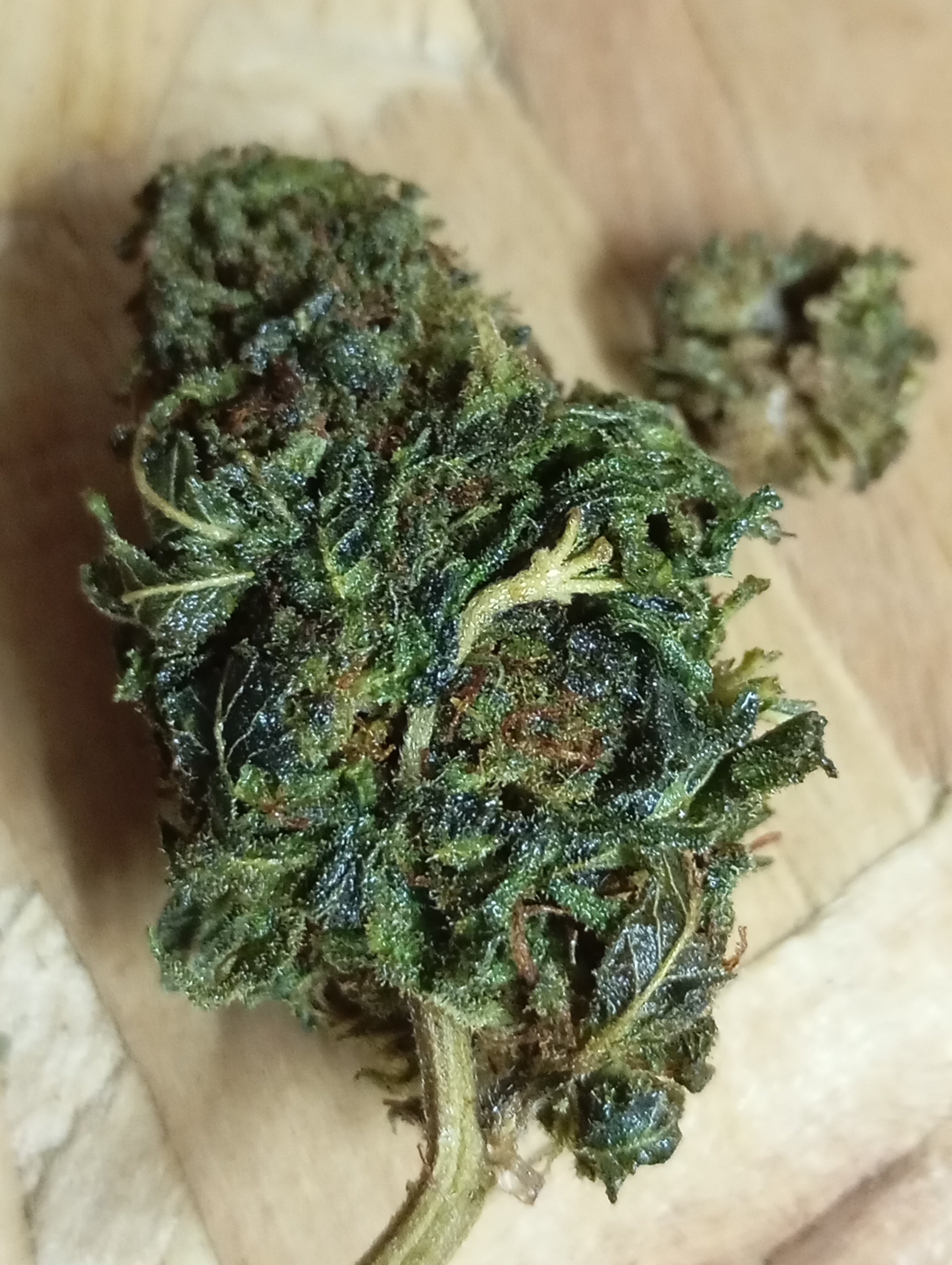 Flor de CBD - TCP White Widow - 2 g 